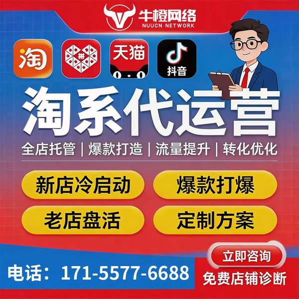 任丘电商代运营