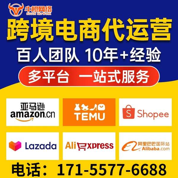任丘电商代运营