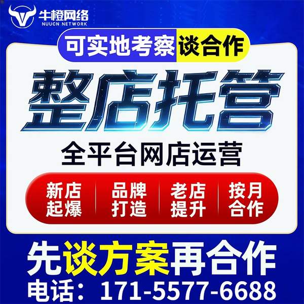 任丘电商代运营