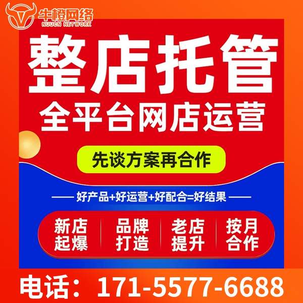 任丘电商代运营