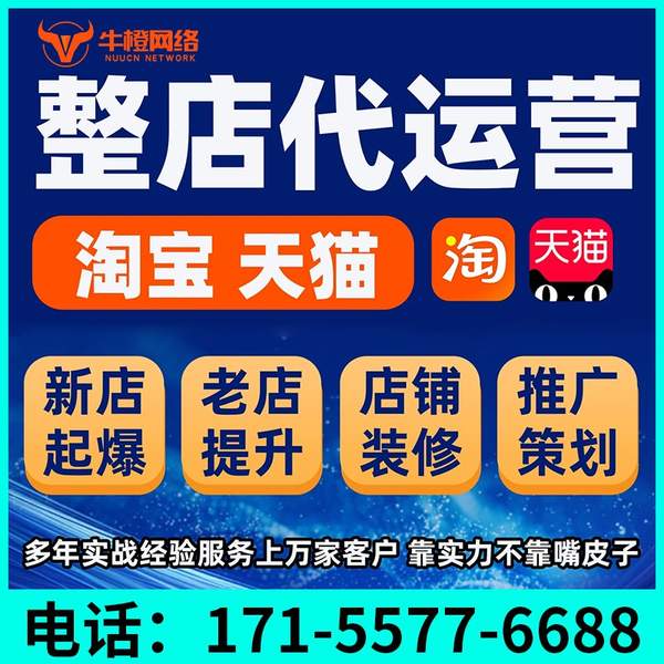 任丘电商代运营