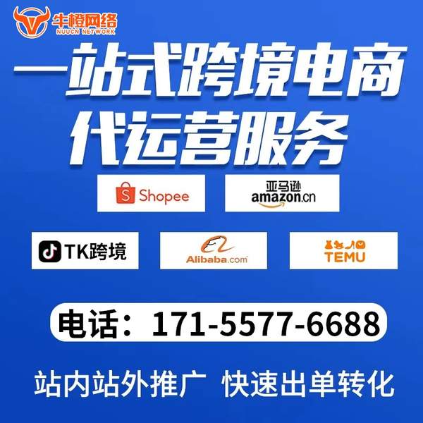任丘电商代运营