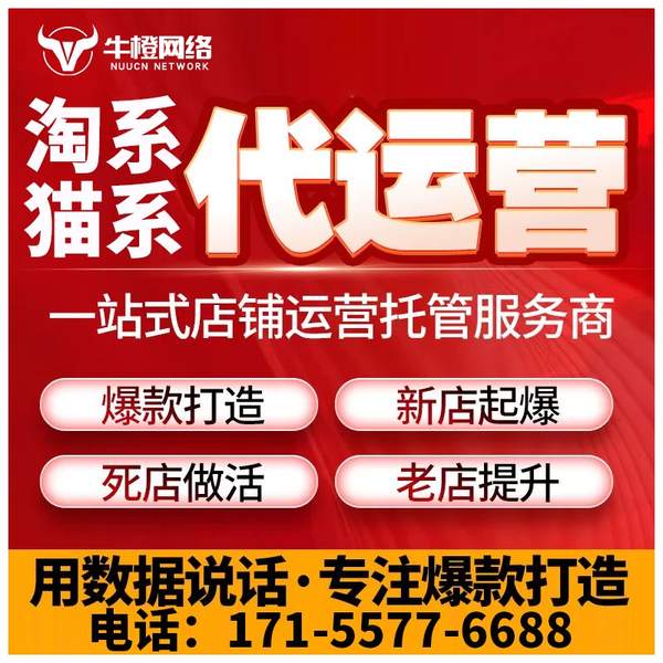 任丘电商代运营